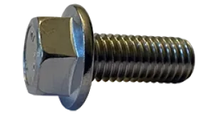 Frame Bolts Flange Stainless 3/8-16 X 1 1/2