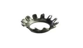 Lock Washers Countersunk External Tooth 18/8 Stainless #1/4